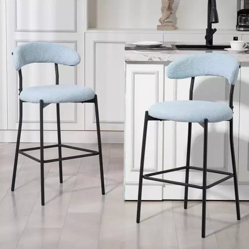 Set of 2 Modern Teddy Counter Height Stools with Comfortable Backrest, Counter Chairs for Kitchen Island, Home Bar, or Restaurant-Panipeachy